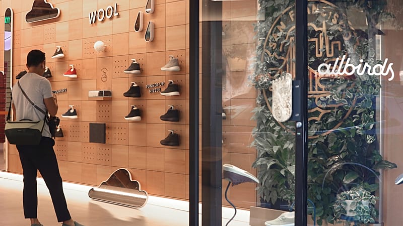 Allbirds stock jumps more than 550% as the shoe company shifts focus to AI business