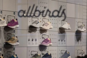 Allbirds stock rises over 600% as struggling shoe company shifts to AI