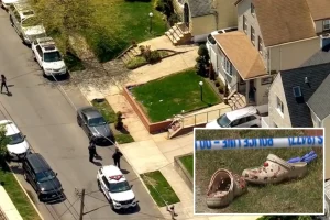 Angry New Yorker stabs 2 neighbors over French bulldog urinating outside his house, police say