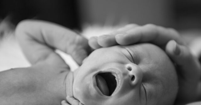 Baby Given Up at Safe Haven Baby Box in Tennessee