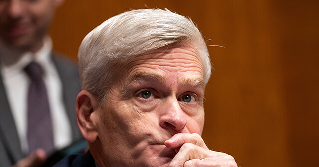 Bill Cassidy May Miss Louisiana Senate Runoff