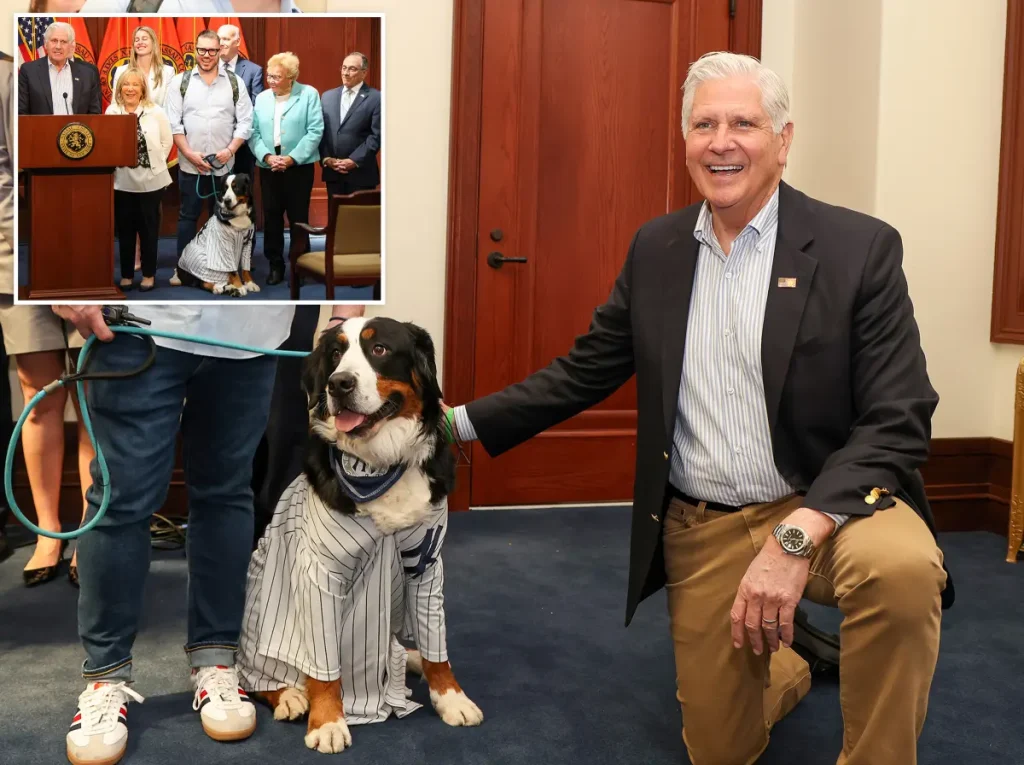 Blakeman enacts law to restrict dog tethering, and irresponsible pet owners may face imprisonment.