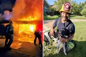 Brave Dog Alerts Family, Prevents Tragic Fire
