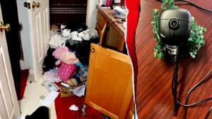 Burglary group of undocumented immigrants utilized GPS in over 20 home break-ins