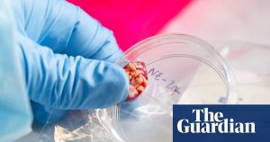 CDC pauses testing for multiple infectious diseases due to lack of staff