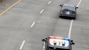 Car theft suspect hangs from Bay Bridge to escape, according to police.