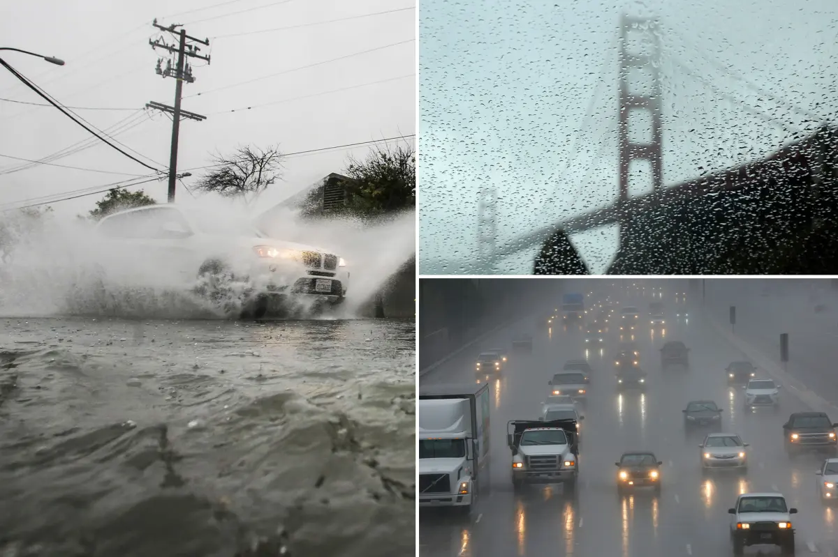 Chances of El Nino rise to 61% as experts caution about a potentially 'very strong' climate occurrence.