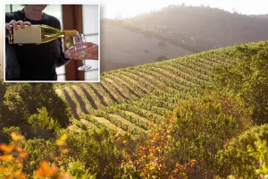 Changes in Wine Country as Napa leaders implement a significant transformation