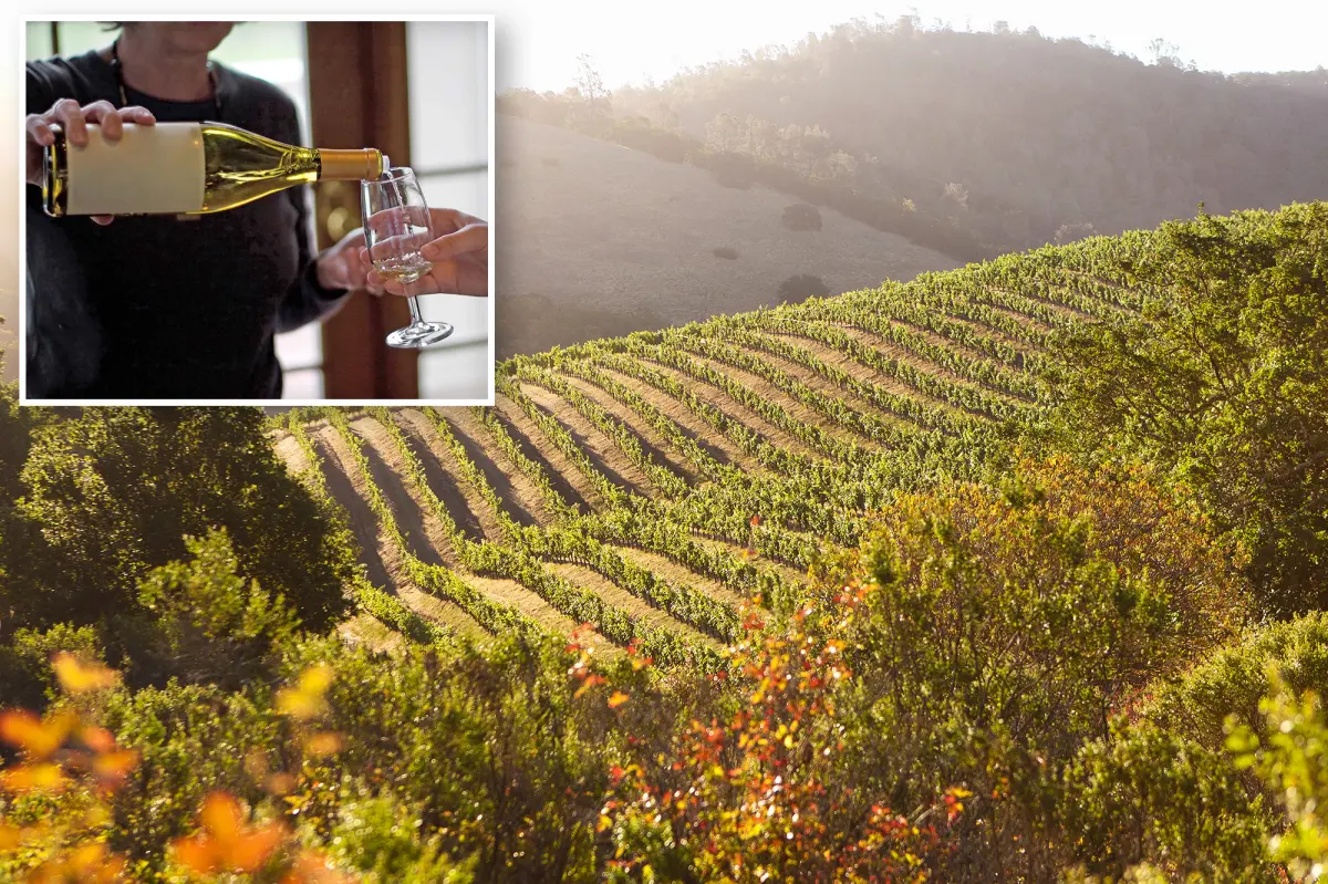 Changes in Wine Country as Napa leaders implement a significant transformation