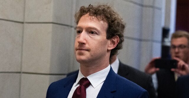 China Stops Meta's $2 Billion Purchase of AI Company Manus