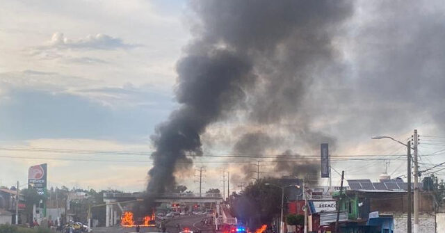 Co-Founder of Jalisco Cartel Admits Guilt in Drug Case