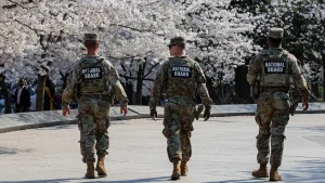 Conservative group argues that D.C. has no right to sue regarding the National Guard