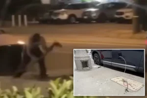 Copper thieves disrupt internet and street lighting in Van Nuys