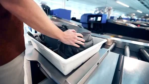 Customs officers confiscate a monkey carcass and prohibited meats from travelers in Chicago, Miami