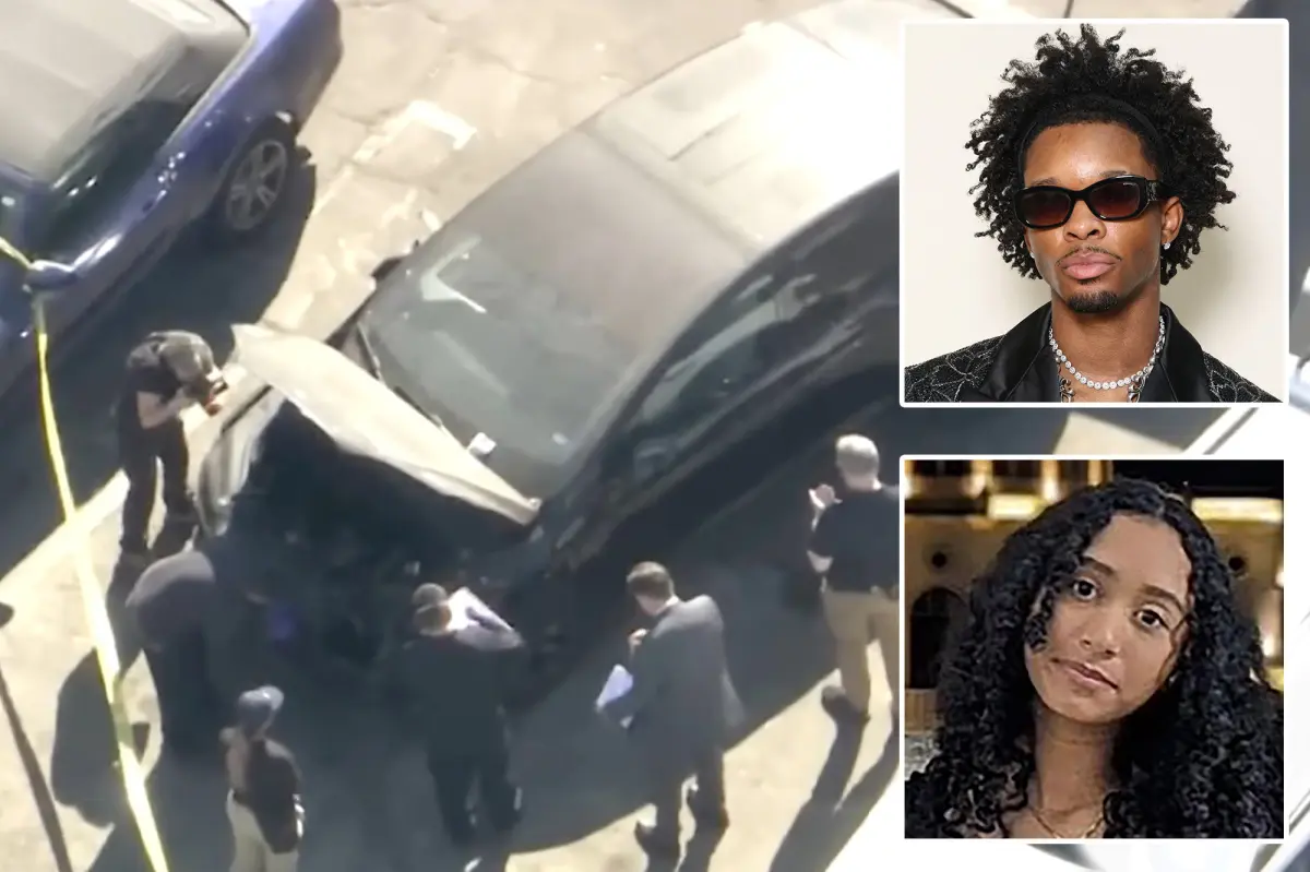 D4vd taken into custody on murder charges seven months after the dismembered remains of a teen girl were discovered in a Tesla.