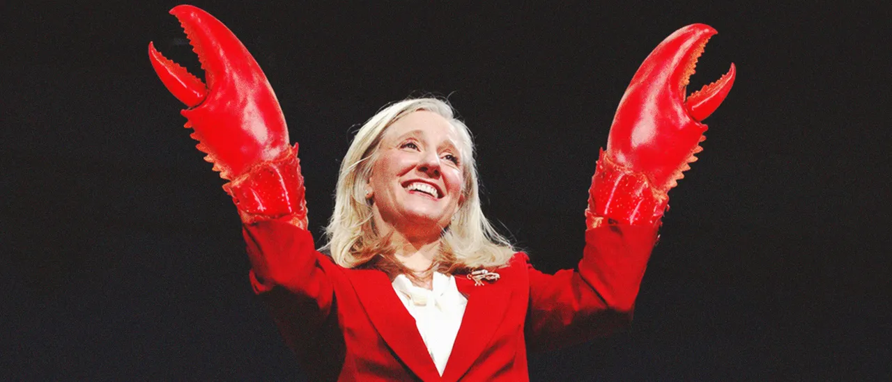 DUKE: Democrat Gerrymander