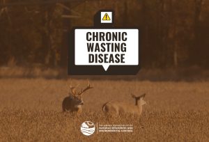 Delaware Reports Its First Case of Chronic Wasting Disease in Wild White-tailed Deer