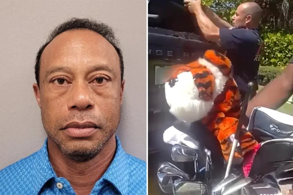 Deputies break Tiger Woods' back windshield after asking to hold onto treasured item, bodycam reveals