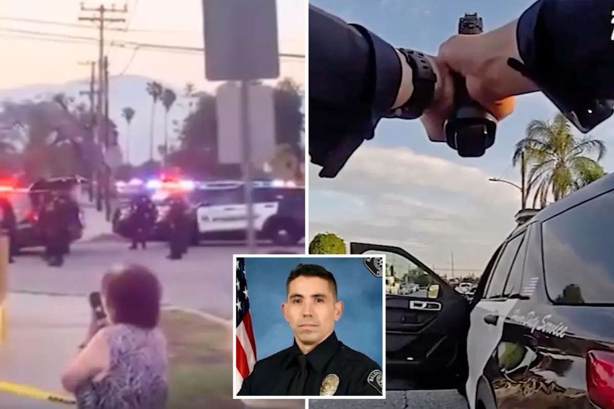 Disturbing footage shows the instant a courageous officer is shot.