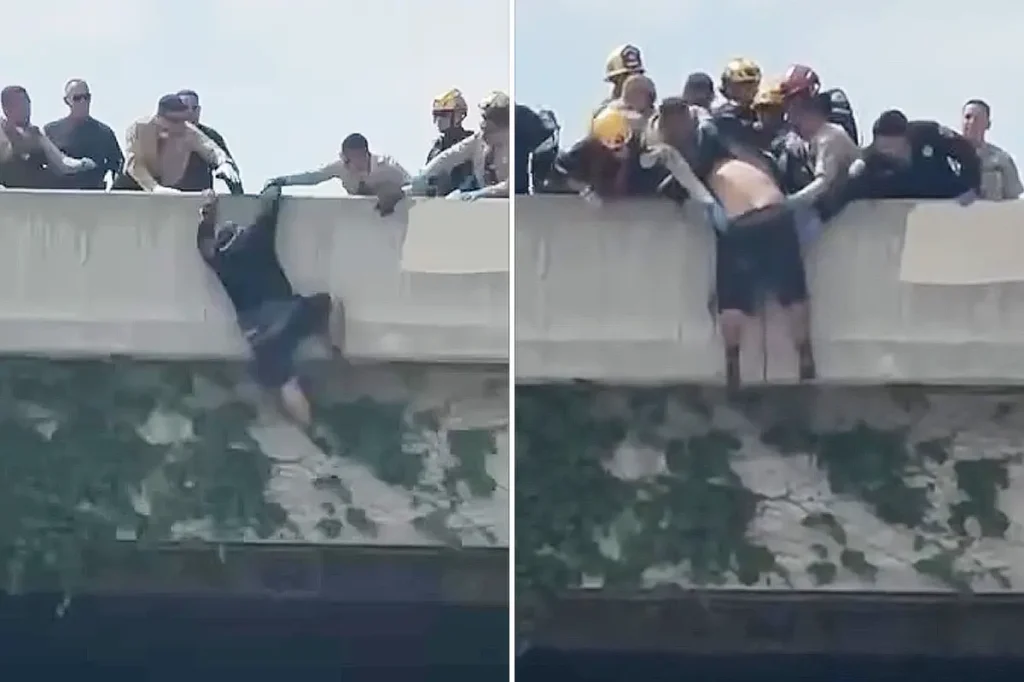Dramatic moment rescuers rush in to save a man attempting to jump from an LA overpass