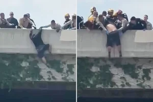 Dramatic moment rescuers rush in to save a man attempting to jump from an LA overpass