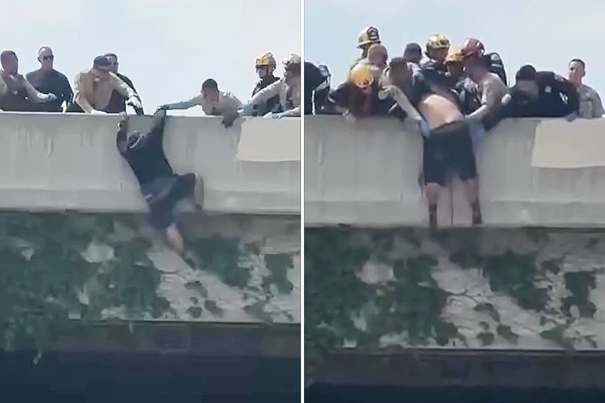 Dramatic moment rescuers rush in to save a man attempting to jump from an LA overpass