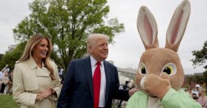 Egg Prices Have Dropped by 80%