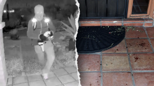 FBI profiler indicates blood spatter suggests one kidnapper in Nancy Guthrie case