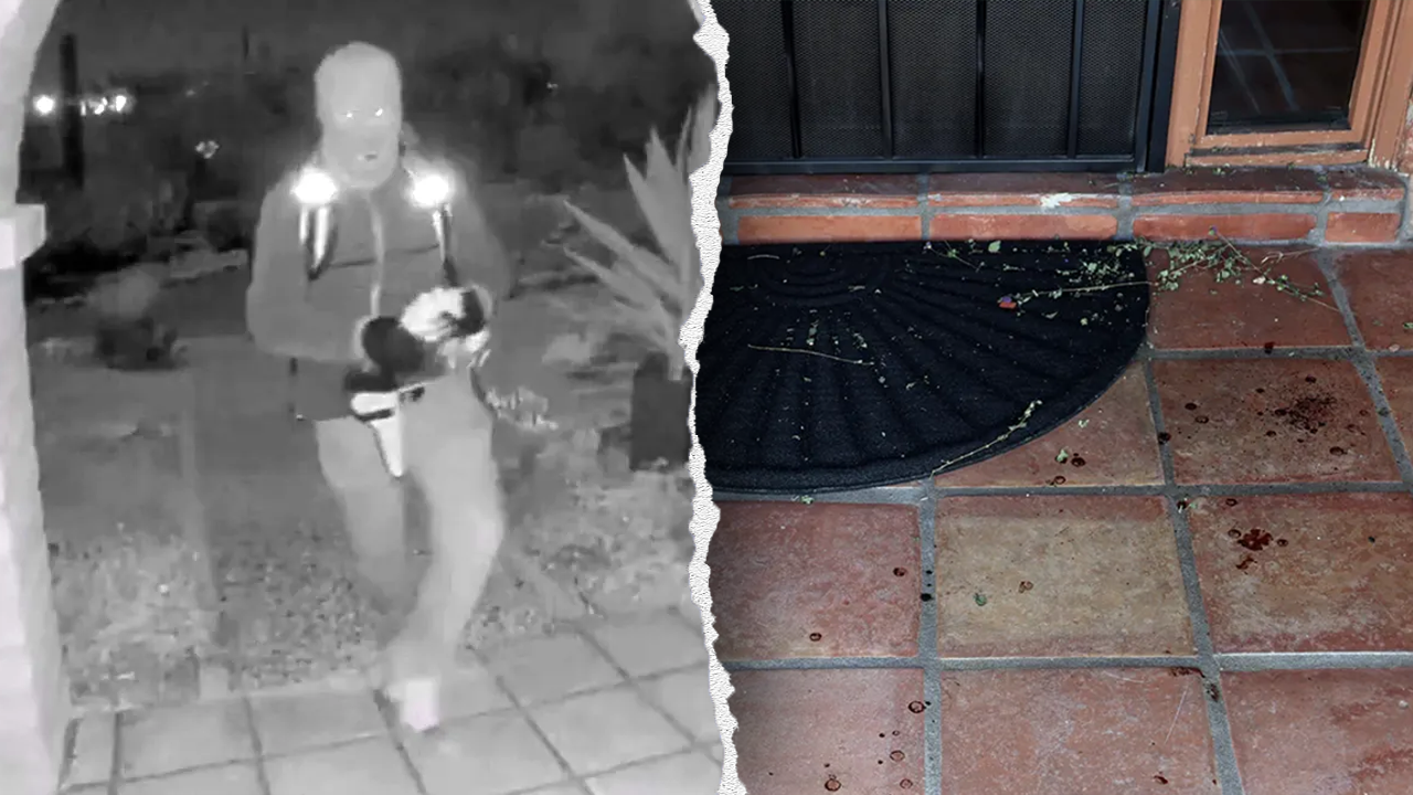 FBI profiler indicates blood spatter suggests one kidnapper in Nancy Guthrie case