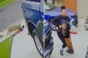 Fearful incident as wild coyote attacks 4-year-old in LA driveway