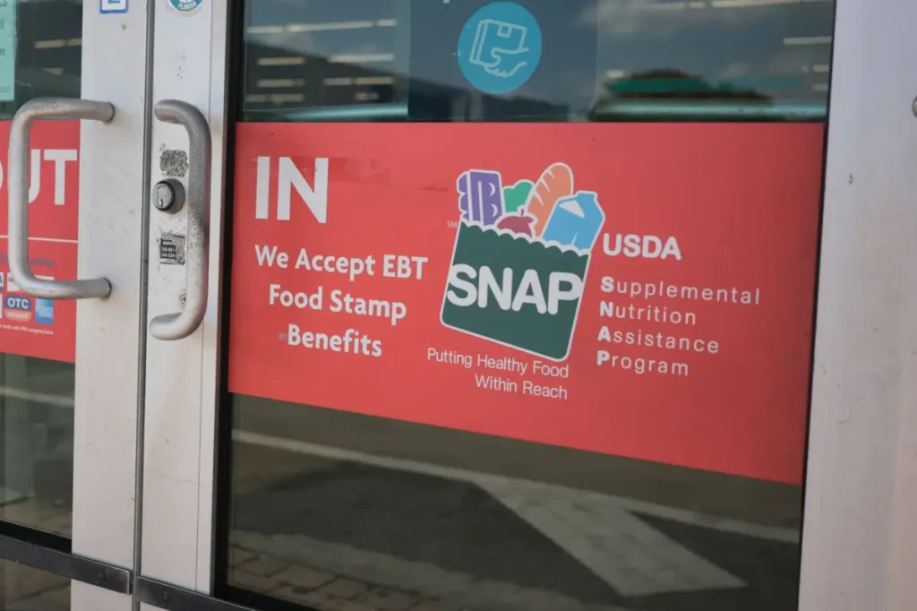 Ferraris and food assistance &mdash; states aid scammers in exploiting welfare