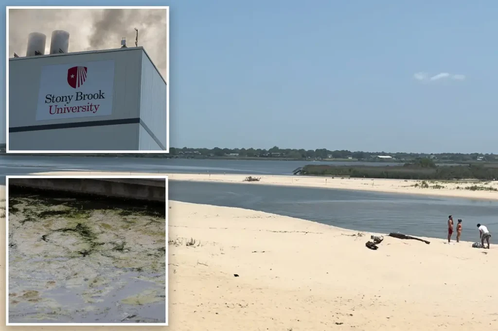 Flesh-eating bacteria discovered in Long Island waters results in 20% mortality within 48 hours for victims