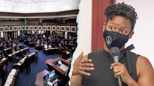 Florida Democrat in a pink jumpsuit grabs a bullhorn during the vote: 'It's not allowed!'
