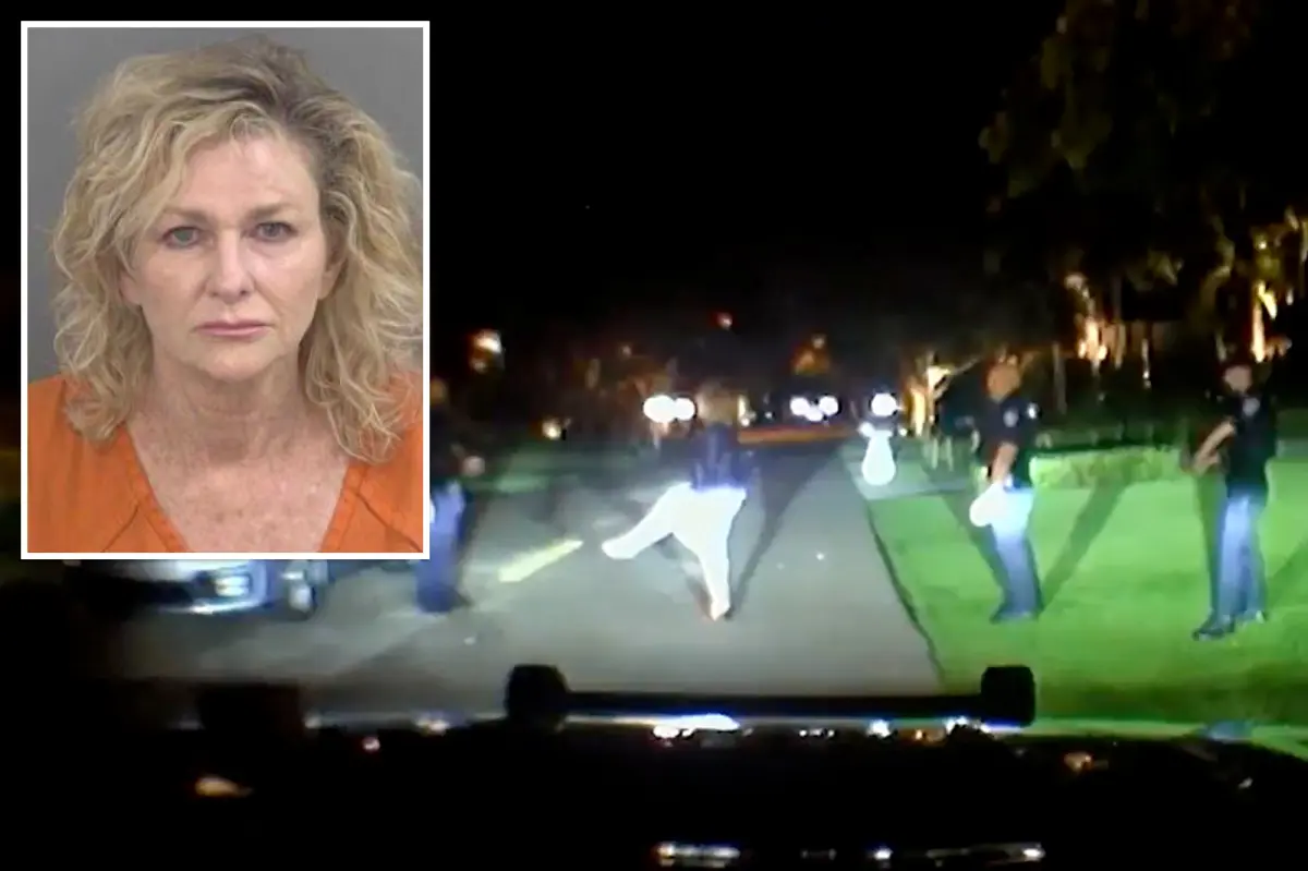 Florida mayor Teresa Heitmann taken into custody after reportedly failing a drug test during probation