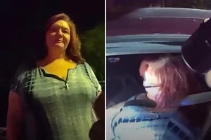 Florida woman Kami Ellis faces DUI charges for driving the wrong way and giving an officer a Barnes & Noble gift card instead of her license.