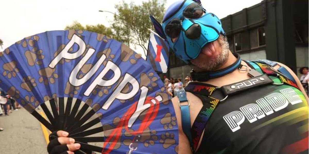 Gay Pride has challenged public standards of morality; it is our responsibility to restore them.