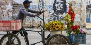 Government intervenes after a man identifying as transgender reportedly abducts his child to Cuba, possibly for gender surgery.