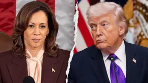 Group connected to Harris asks young liberals to refrain from calling Trump 'TACO'