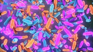 Gut Bacteria May Be an Unseen Cause of Neurodegenerative Diseases