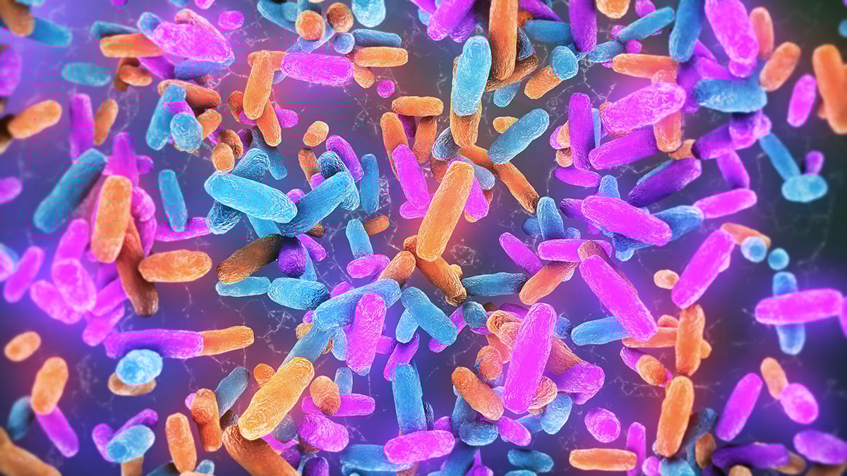 Gut Bacteria May Be an Unseen Cause of Neurodegenerative Diseases