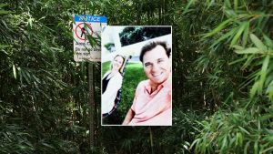 Hawaii doctor speaks about his wife's suspected affair and secret messages