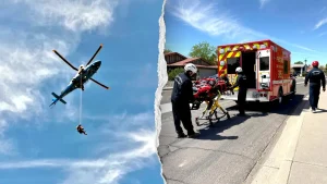Hiker in Phoenix stung more than 100 times by bees airlifted in serious condition