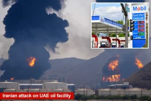 How the UAE's surprising withdrawal from OPEC might lower gas prices