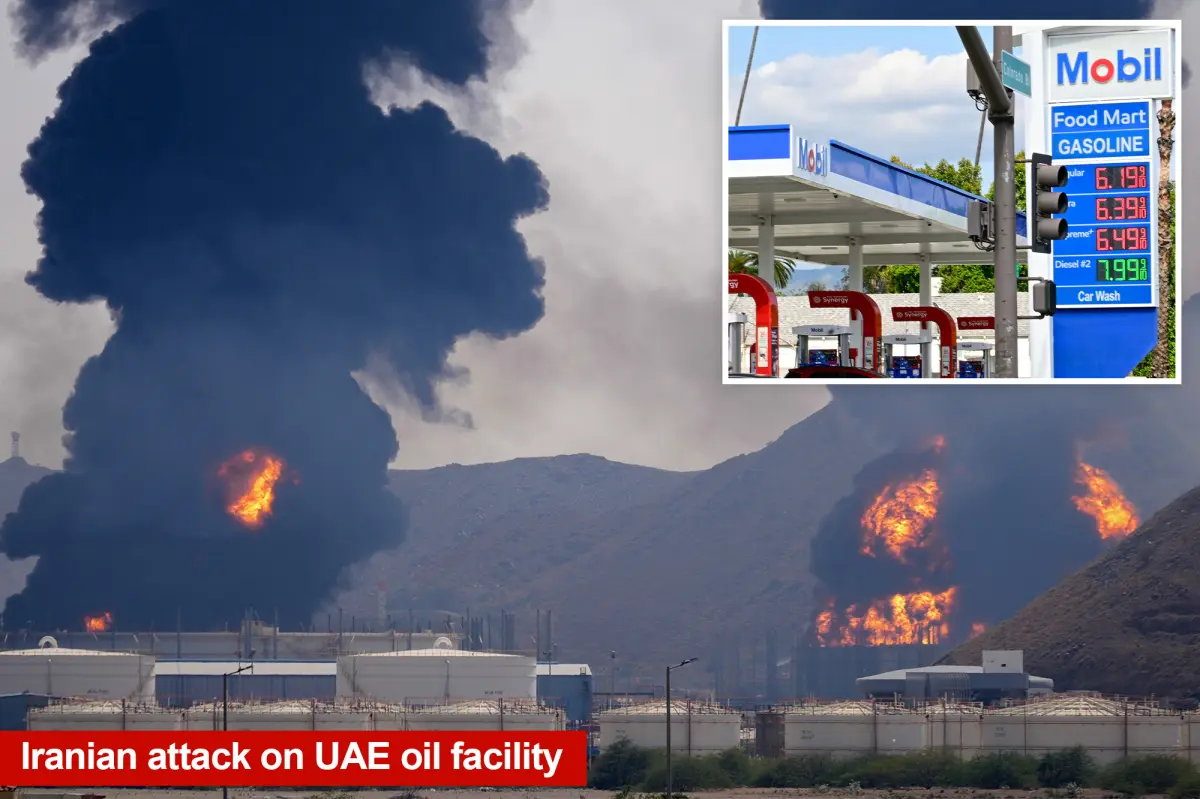 How the UAE's surprising withdrawal from OPEC might lower gas prices