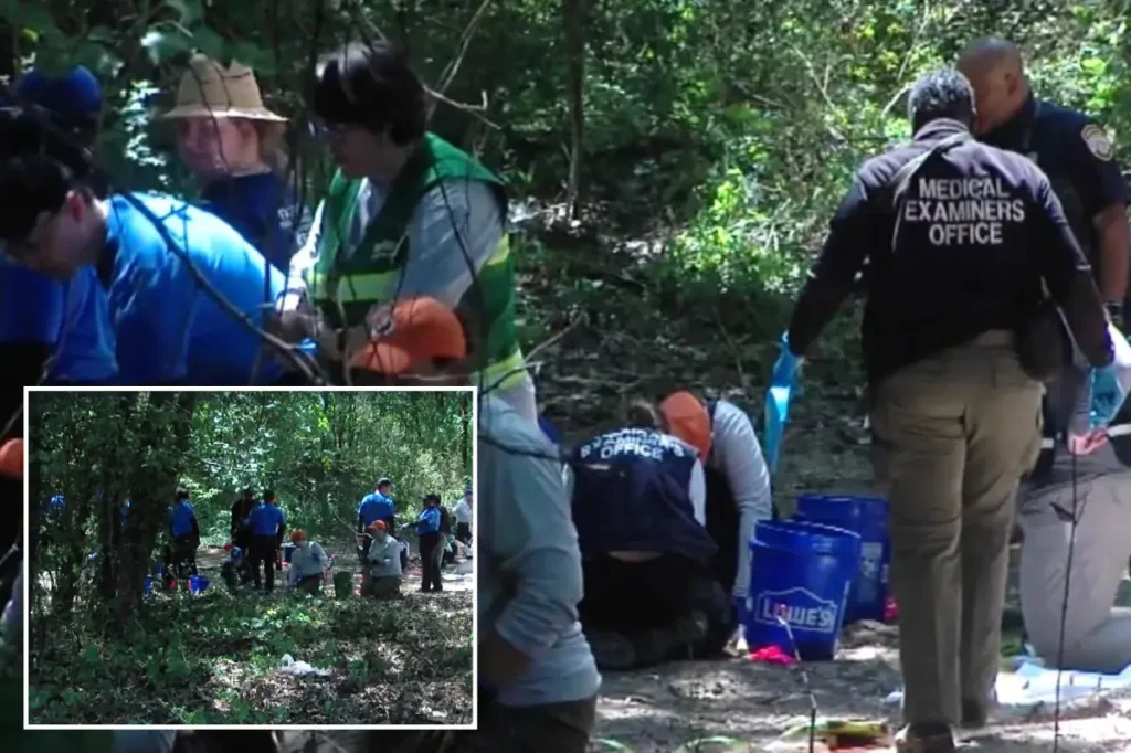 Human remains of several children found in Memphis woods