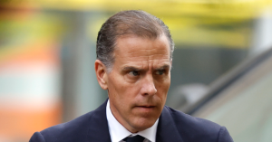 Hunter Biden: I’m completely committed to a cage match with Don Jr. and Eric Trump