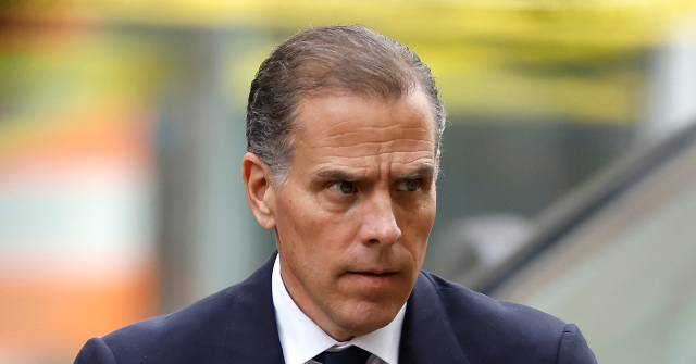 Hunter Biden: I’m completely committed to a cage match with Don Jr. and Eric Trump