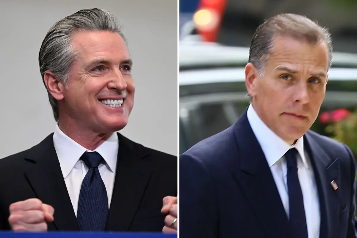 Hunter Biden criticizes Democratic leaders while expressing admiration for Gavin Newsom.