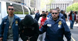 ICE has apprehended 20,000 undocumented immigrants in the D.C. area.