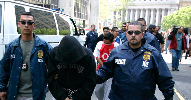 ICE has apprehended 20,000 undocumented immigrants in the D.C. area.